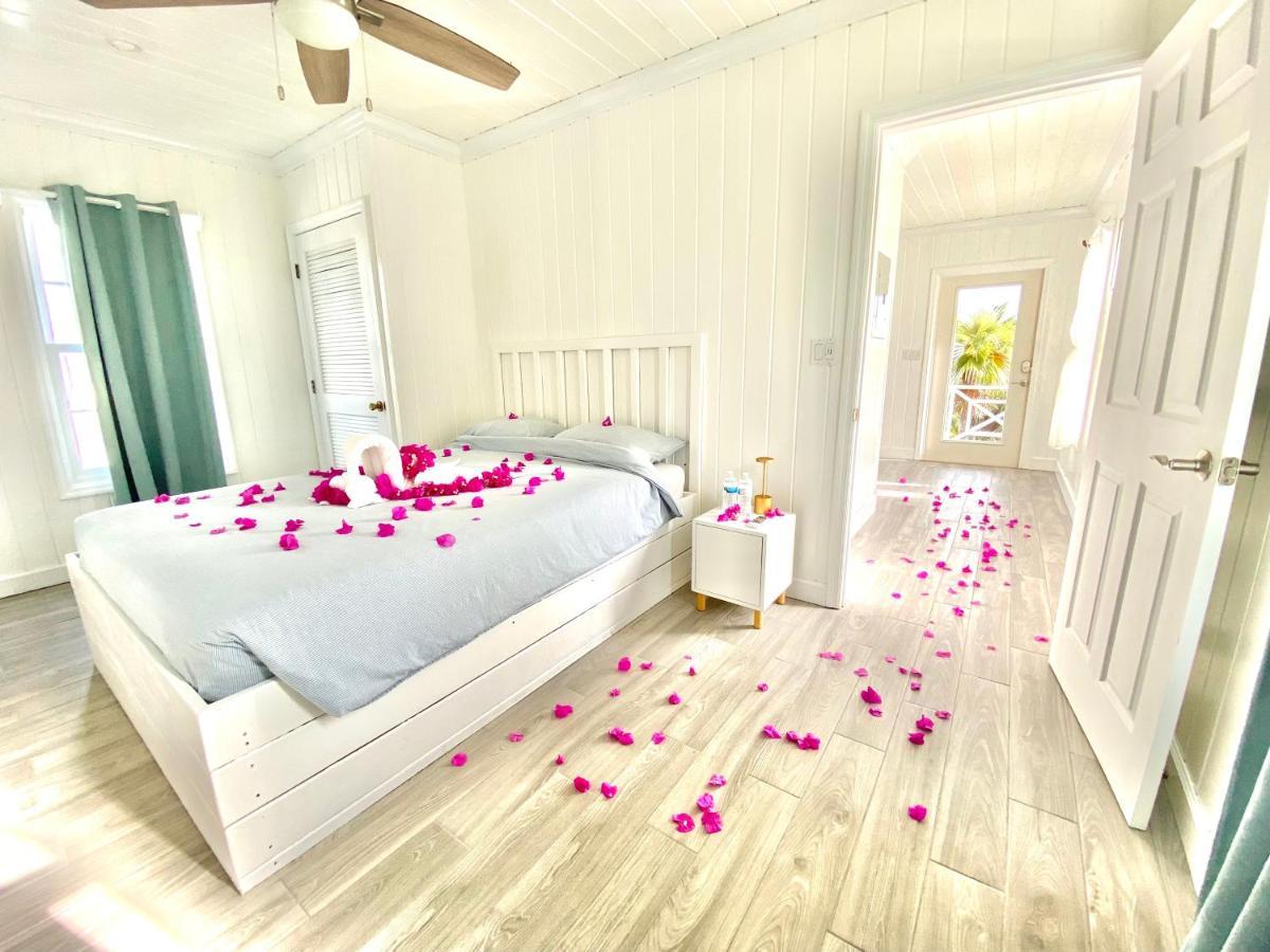 Eleuthera Retreat - Villa & Cottages On Pink Sand Beachfront Palmetto Point エクステリア 写真